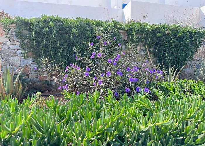 Cosmos Ξενοδοχείο με διαμερίσματα 4*