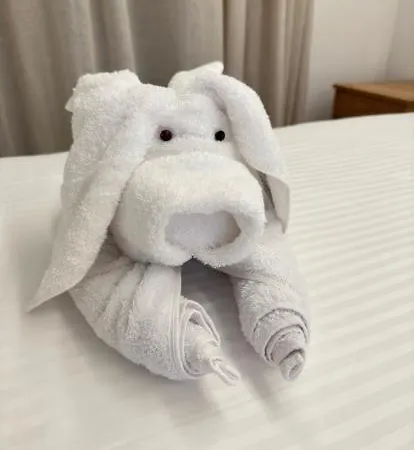 Apart-hotel Cosmos 4*