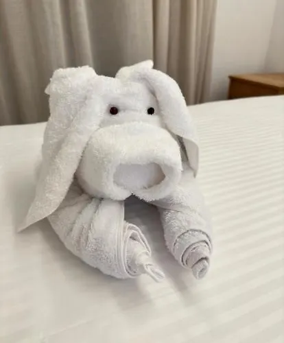 Aparthotel Cosmos 4*